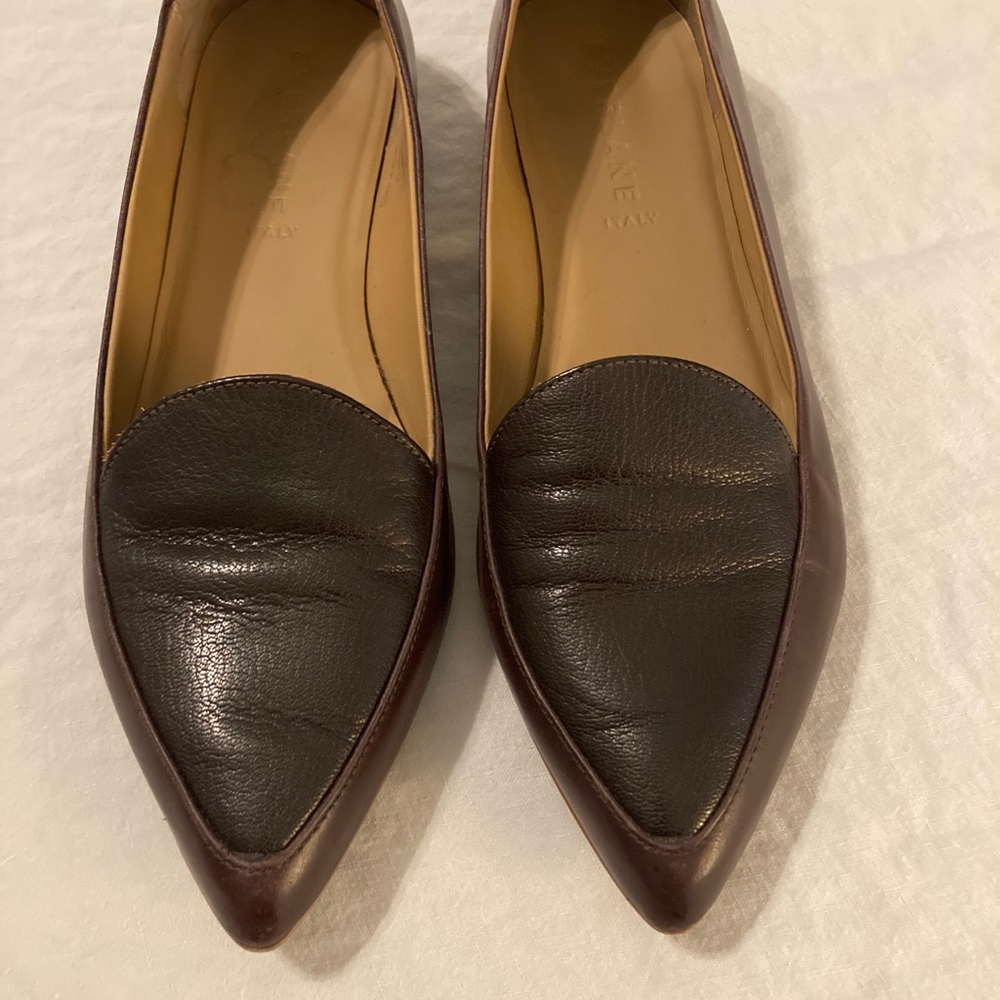 Everlane Pointy Flats